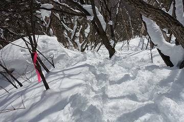 南登山道