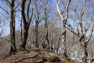 ブナ沢ノ頭へ