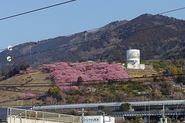 松田西平畑公園