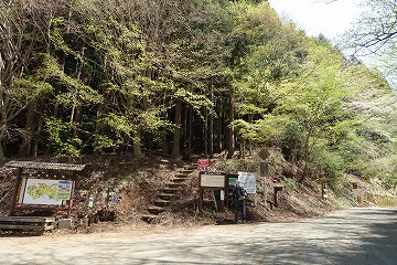 半原越から経ヶ岳へ