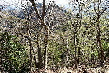 煤ヶ谷高取山