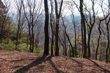 煤ヶ谷高取山