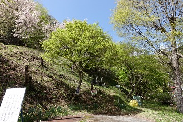 坪山登山口