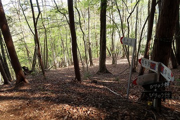 阿寺沢・びりゅう館分岐