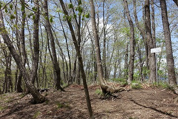 麻生山　山頂