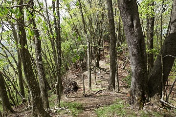 尾名手峠