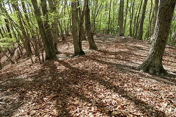 鋸尾根
