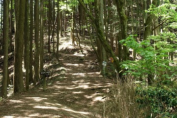 芥場峠