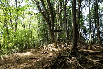 鍋割山　山頂