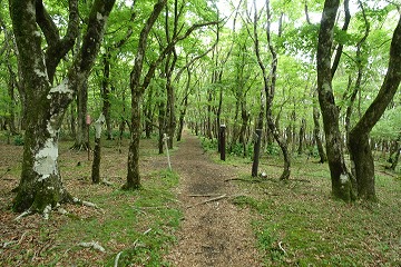 ヅナ峠