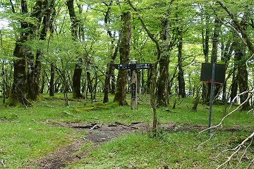 立山東分岐