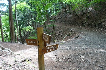 横手山峠分岐