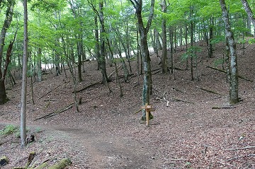 新横手山峠分岐