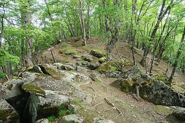 天庭峠